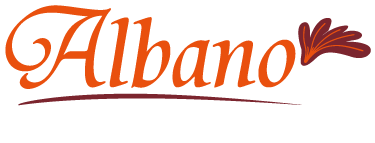 Footer Logo